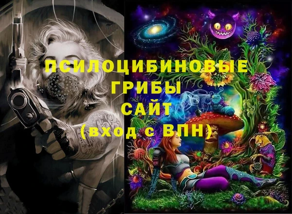 гидра Аркадак