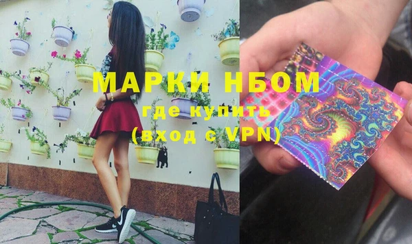 гидра Аркадак