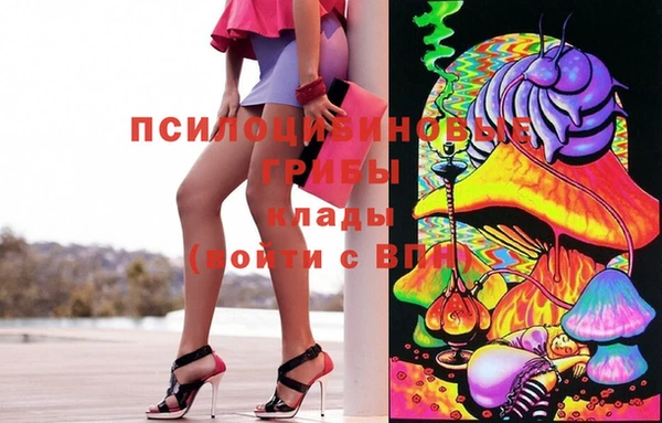 гидра Аркадак